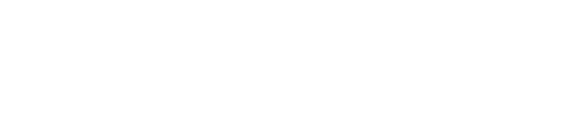 FORTUNA PROTOCOL